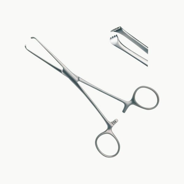Pinza ALLIS 15cm