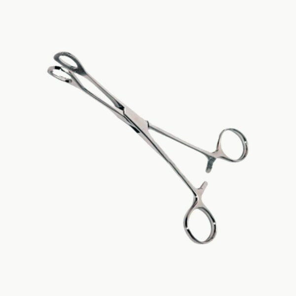 Pinza de Aro FOERSTER 25cm